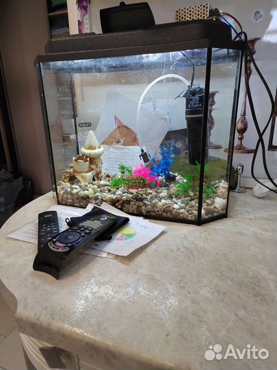 Аквариум 30л