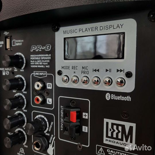 Акустическая система с аккумулятором и микрофоном