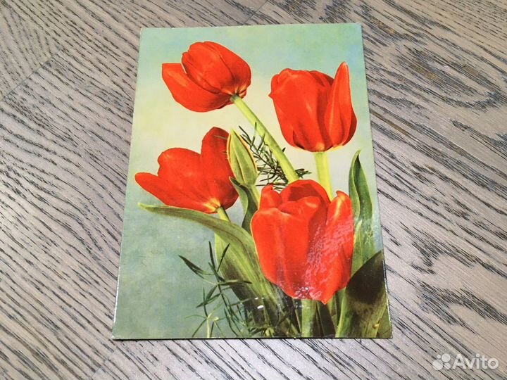 Открытки СССР