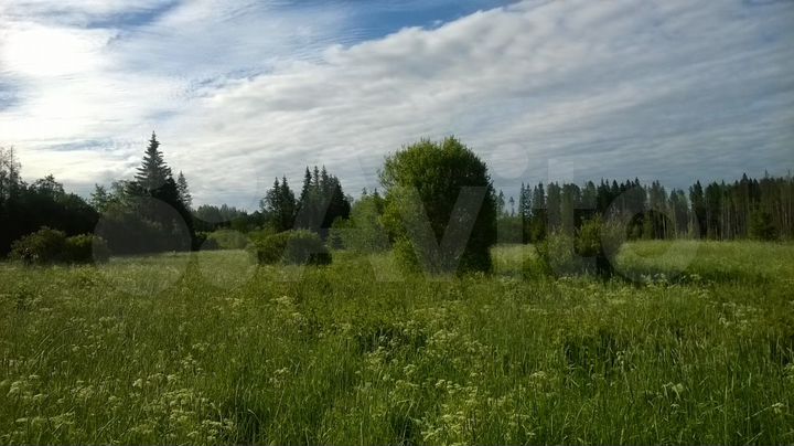 Участок 20 сот. (СНТ, ДНП)