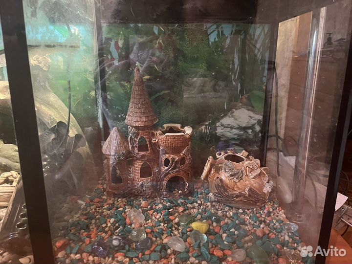 Аквариум двойной объмом 200л для черепах и рыб