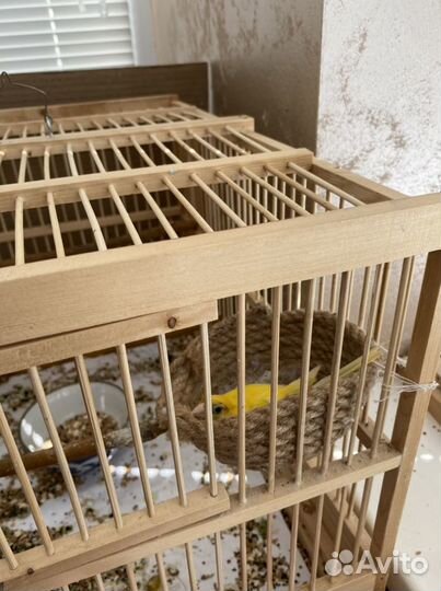 Гнездо для канареек, попугаев, гнёзда для птиц