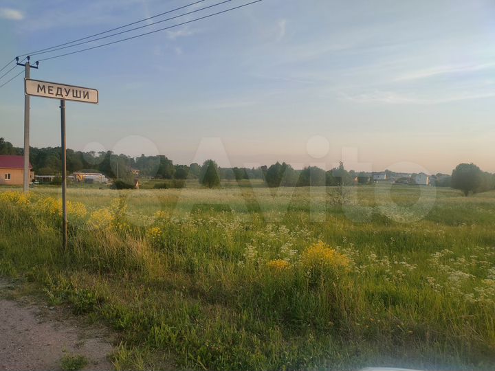 Участок 1,97 га (СНТ, ДНП)