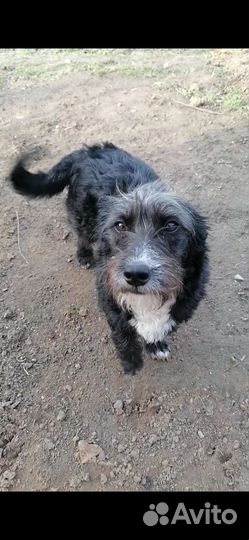 Девочка в добрые ручки