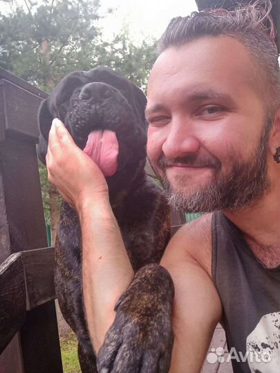 Видеонаблюдение и сигнализация, по уму