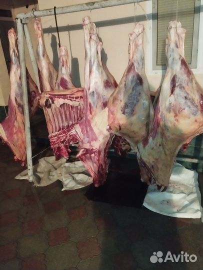 Мясо говядина