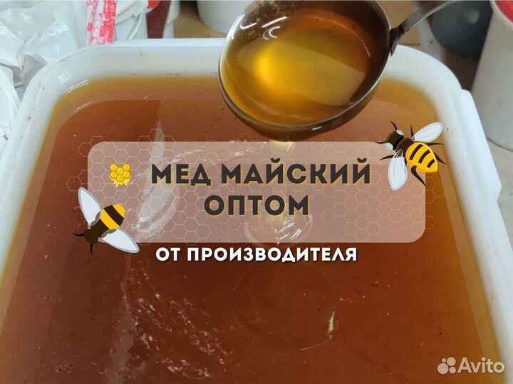 Свежий мед оптом майский