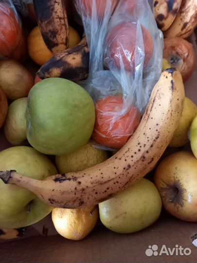 Корма для животных