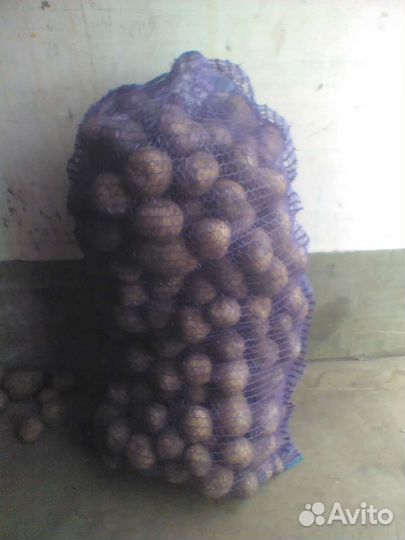 Продаётся картофель