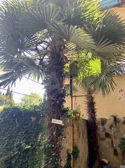 Дом 50 м² на участке 1 сот.