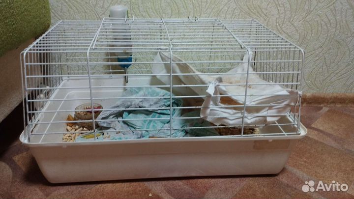 2 клетки и корма для крыс
