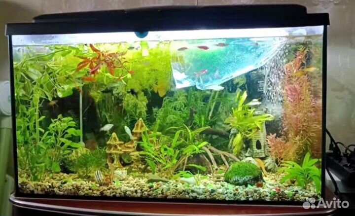 Аквариум 150 литров