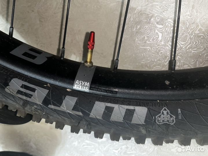 Gt avalanche elite 29