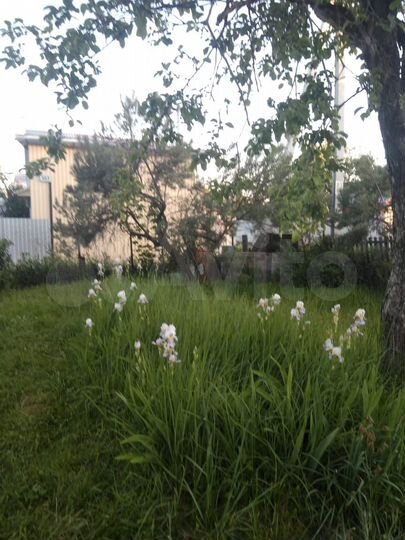 Дача 12 м² на участке 3 сот.