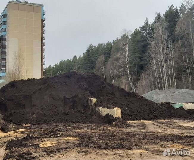 Чернозем в Лесной Городок