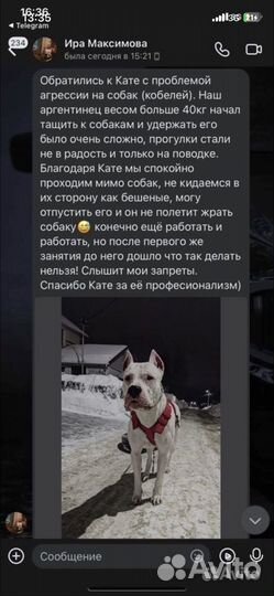 Кинолог Дрессировка собак (ветдиетолог,хендлер)