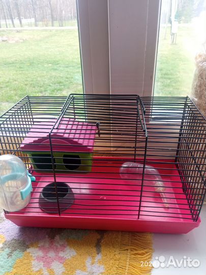 Клетка для джунгарского хомяка, корм, опилки