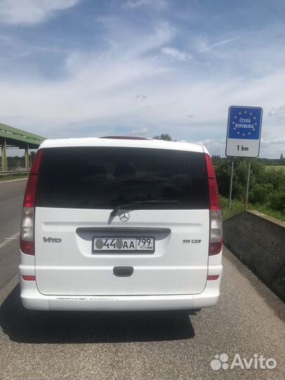 Трансфер под вас/переезд с животным Европу/Грузию