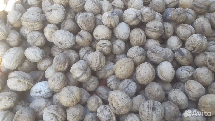 Грецкий орех опт