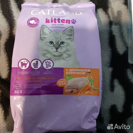 Сухой корм для котят