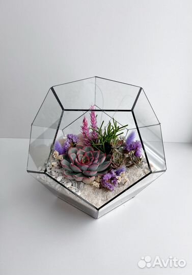 Флорариум - Додекаэдр