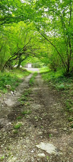 Участок 18,5 сот. (ИЖС)