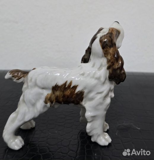 Limbach Германия Собака