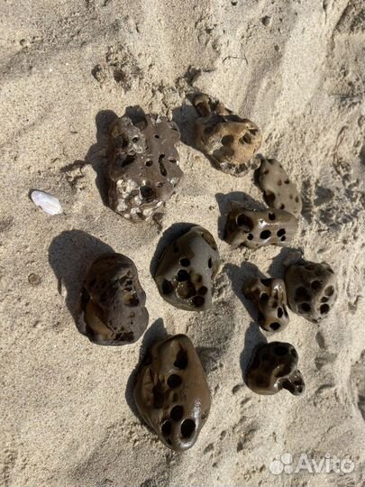 Морские камни для аквариума террариума бонсай