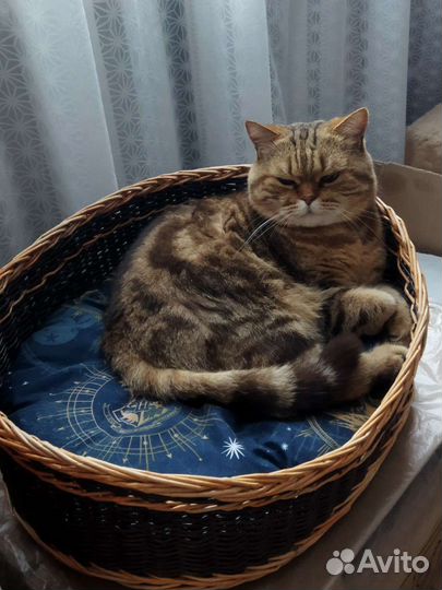 Лежанка для животных