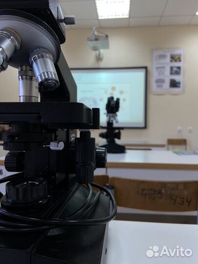 Репетитор по биологии/химии