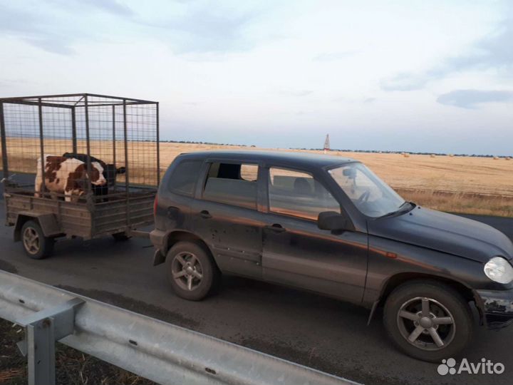 Перевозка животных