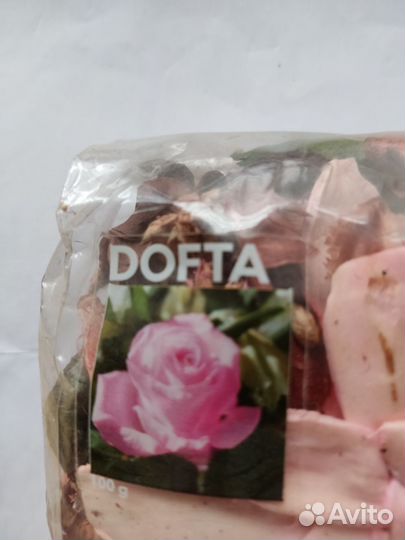 Саше из Икеа