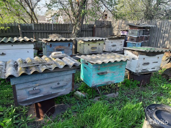 Ульи для пчел