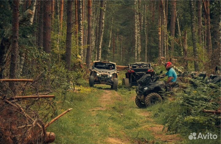 Тур на квадроциклах багги в Мещеру Два Гуся