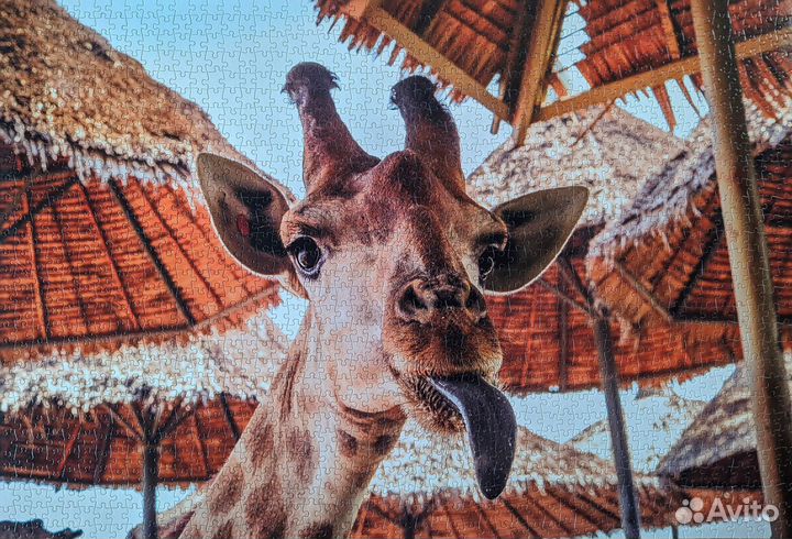 Пазлы на 1000-1500 деталей