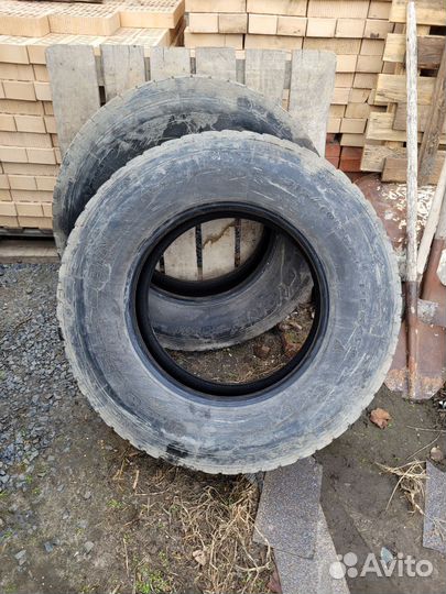Шины315.70.22.5 ведущие