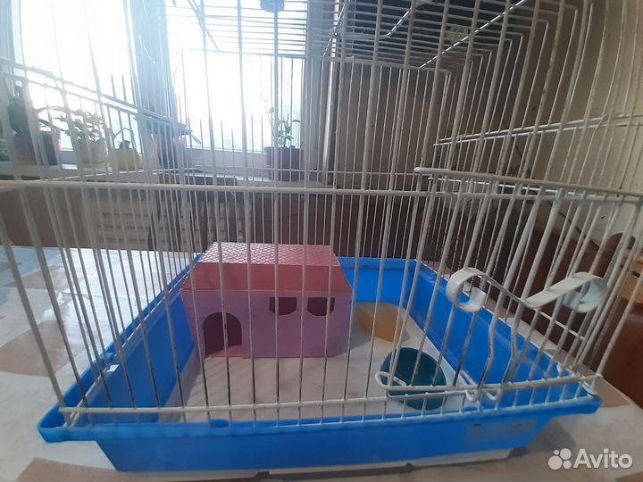 Клетка для грызунов