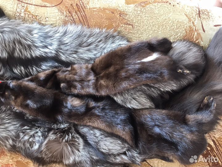 Шкурка животного