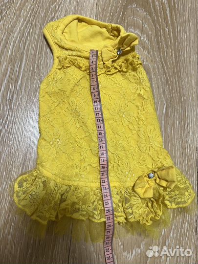 Одежда для собак