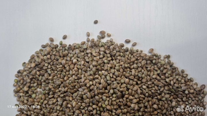 Семена Конопли (пищевые)