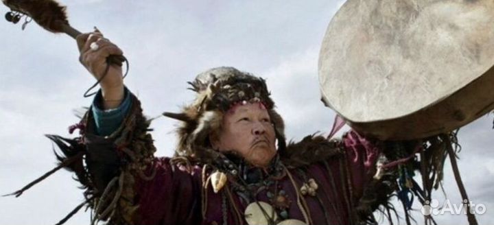 Чай пуэр Бодрость духа бдр8698