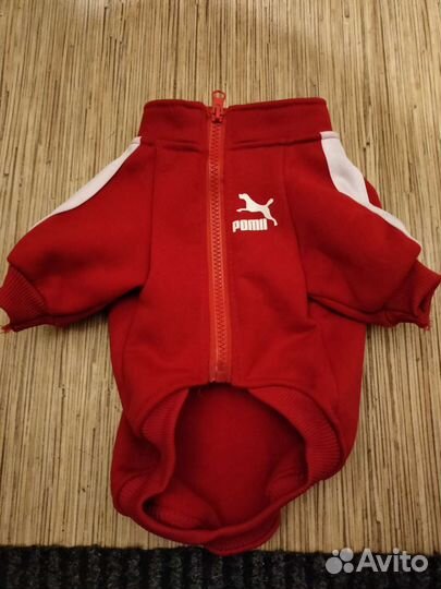 Кофта для собаки