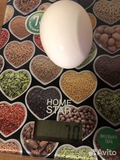 Домашние куриные яйца и мясо бройлера