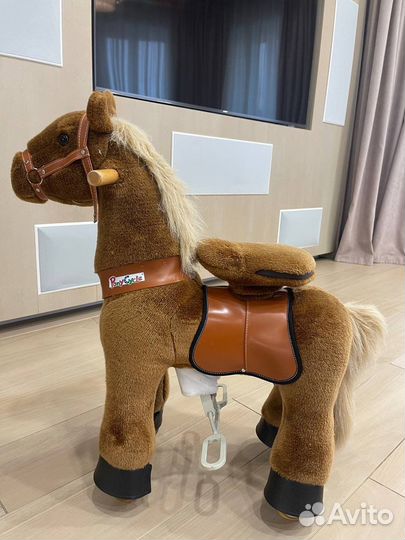 Лошадь поницикл