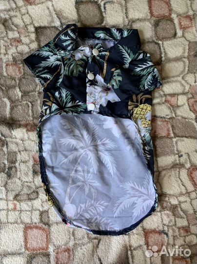 Костюмчик для собаки рубашка