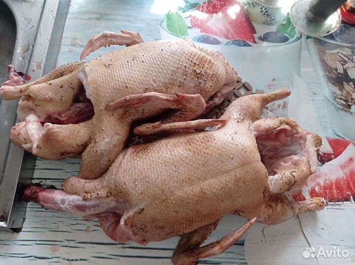 Продукты питания