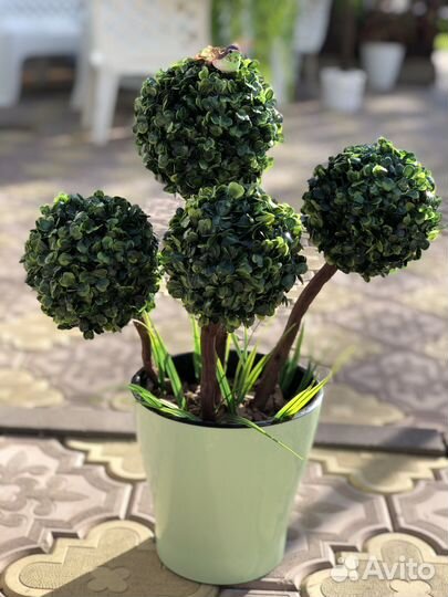 Самшит искусственный