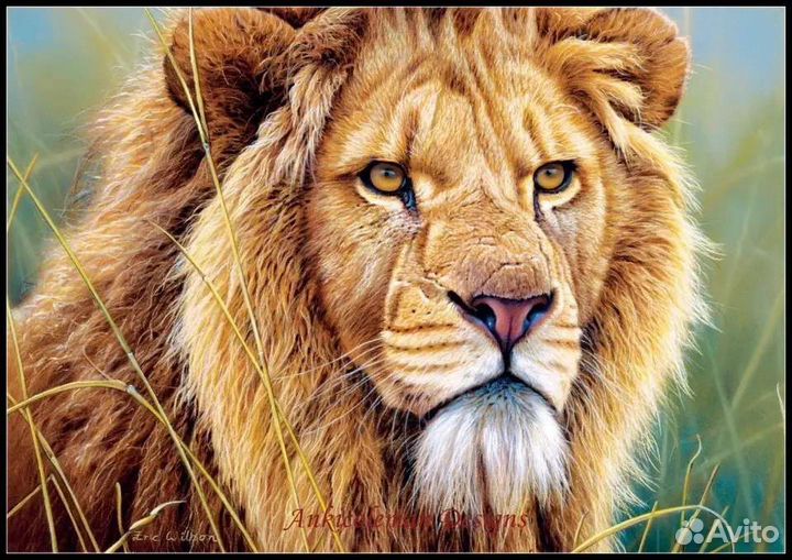 Алмазная мозаика