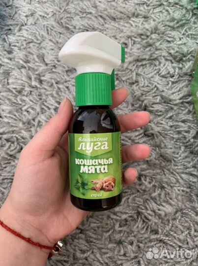 Принадлежности для кошек