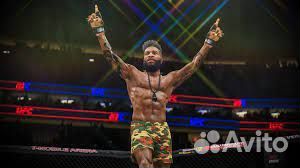 UFC 4 PS4/PS5 Тверь